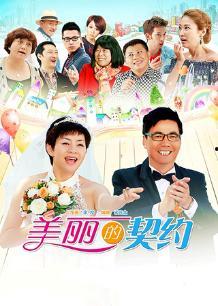 喜剧剧集解说国产剧视频,国产喜剧剧集盘点与亮点解析