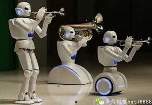 国产机器人干活视频播放